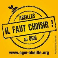 Abeilles ou OGM : Il faut choisir ! Abeilles ou OGM : Il faut choisir !